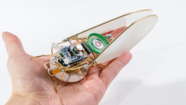 KIHIKIHI electronic cicada