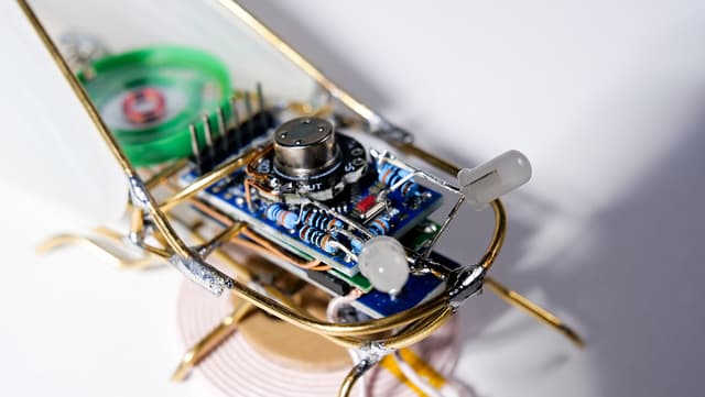 Electronic system inside a KIHIKIHI cicada