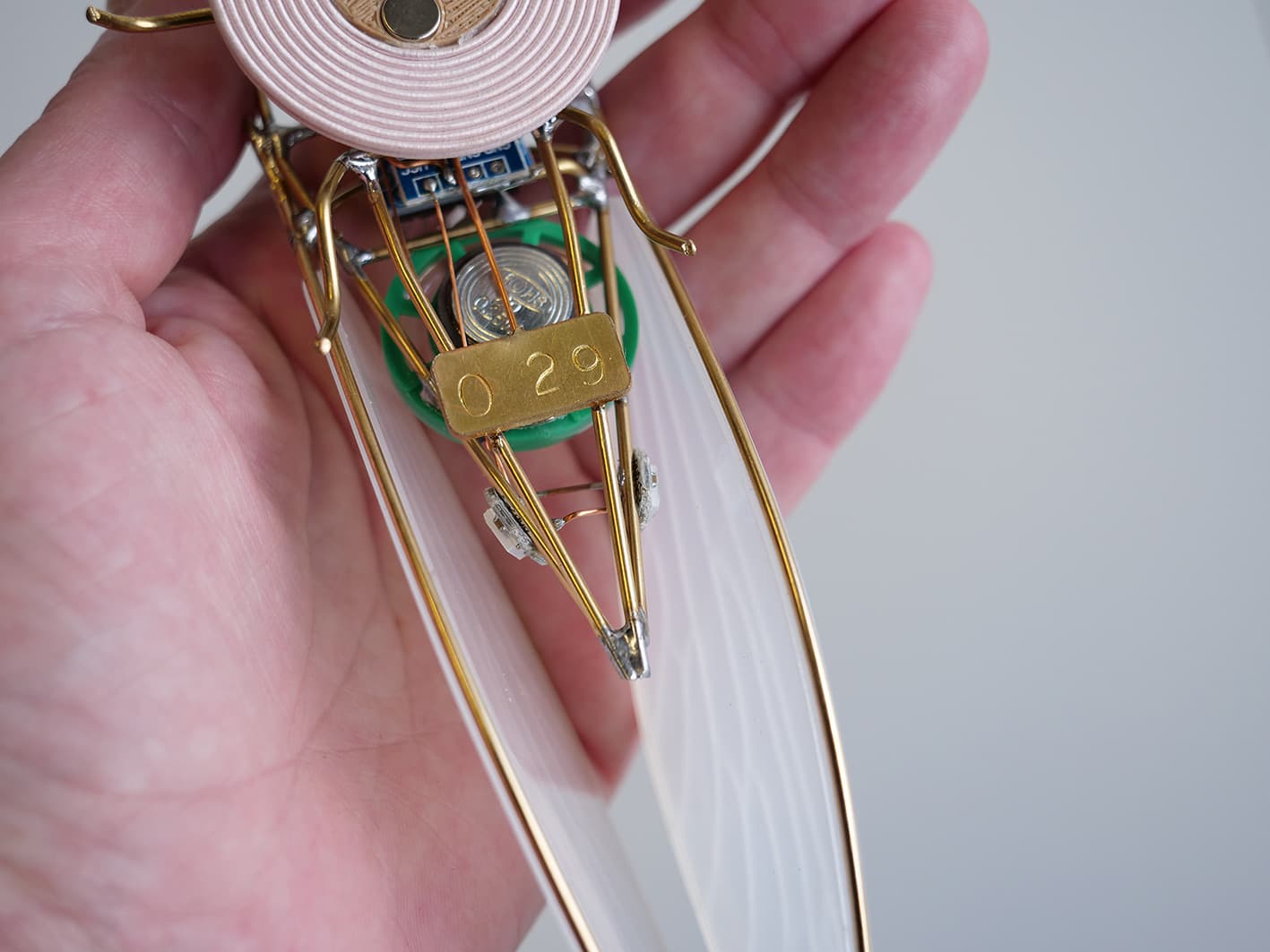 Identifying serial number on the underside of a KIHIKIHI cicada